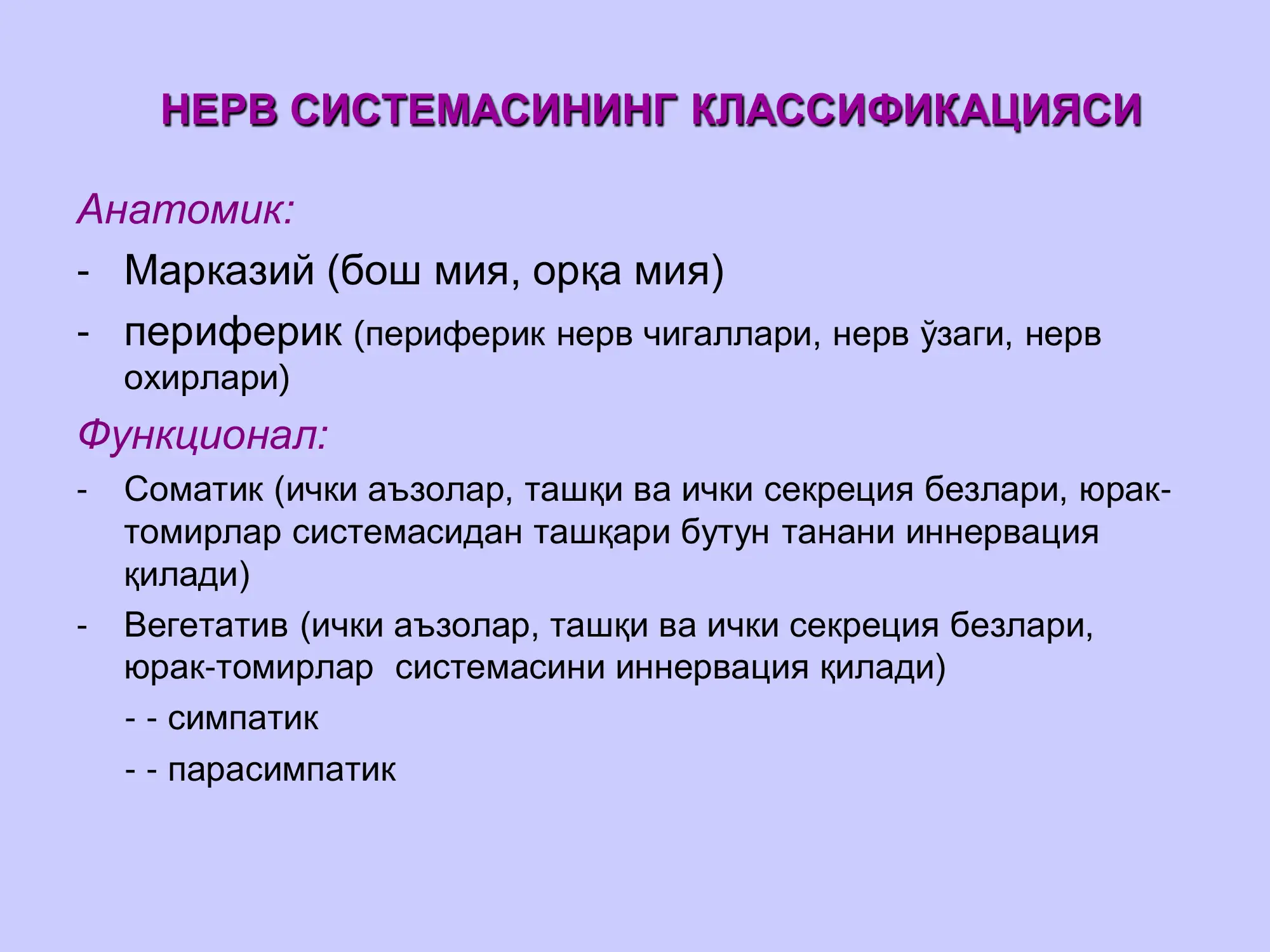 Нерв тизими 3