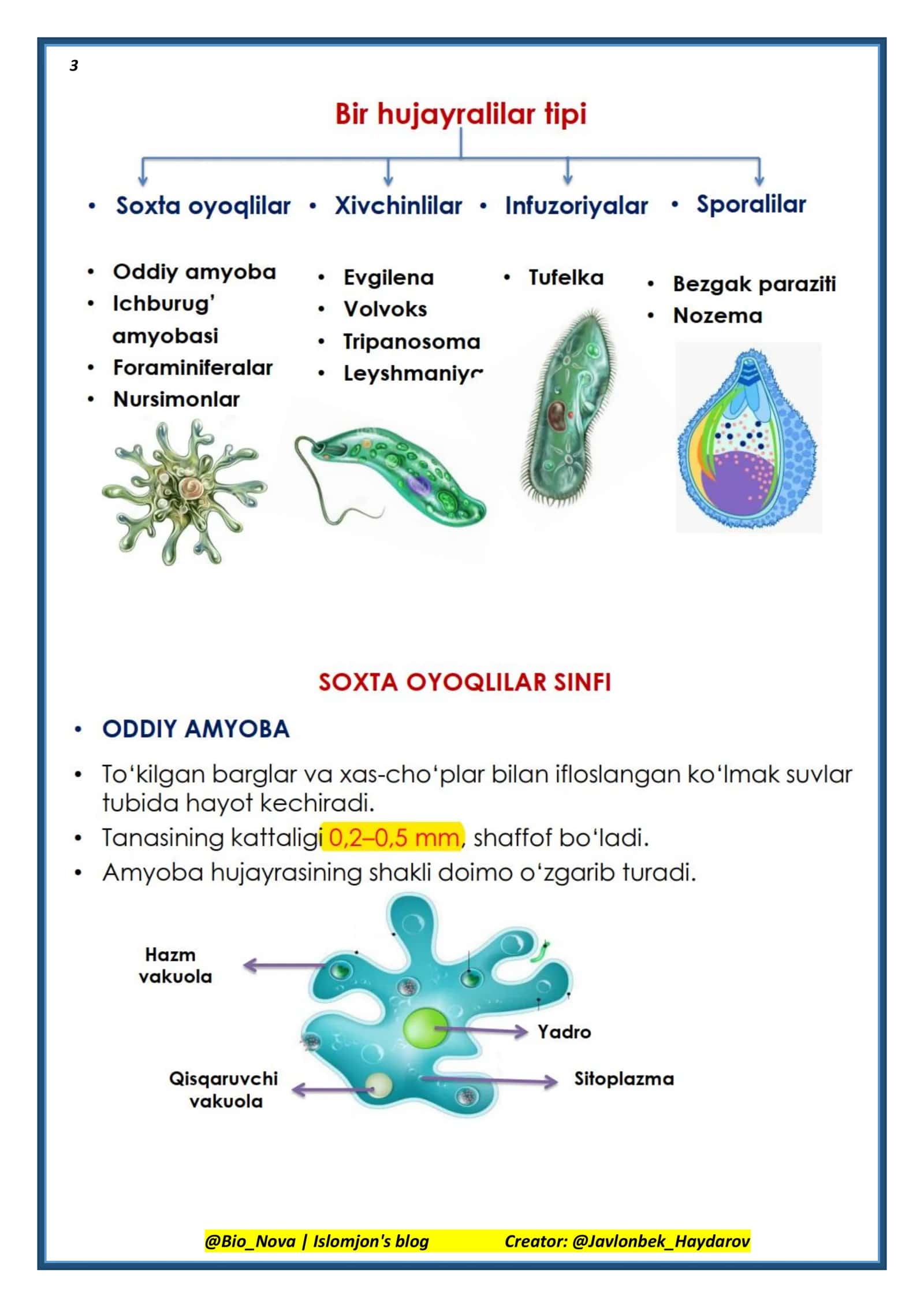 7 -sinf zoologiya 3