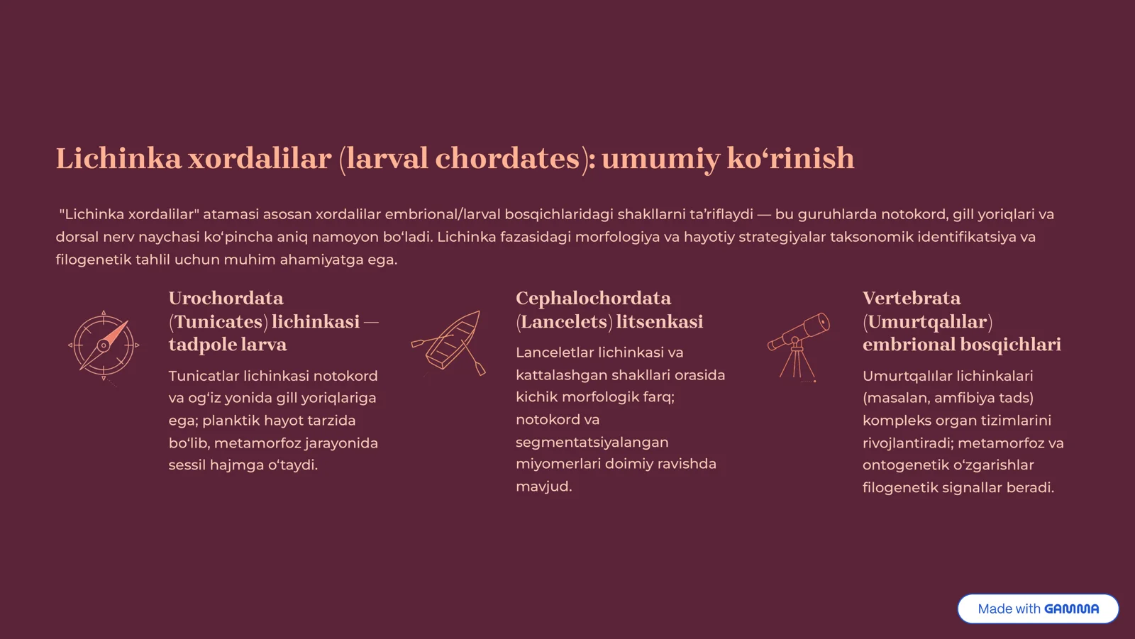 Xordalilar (Chordata) va ularning 3