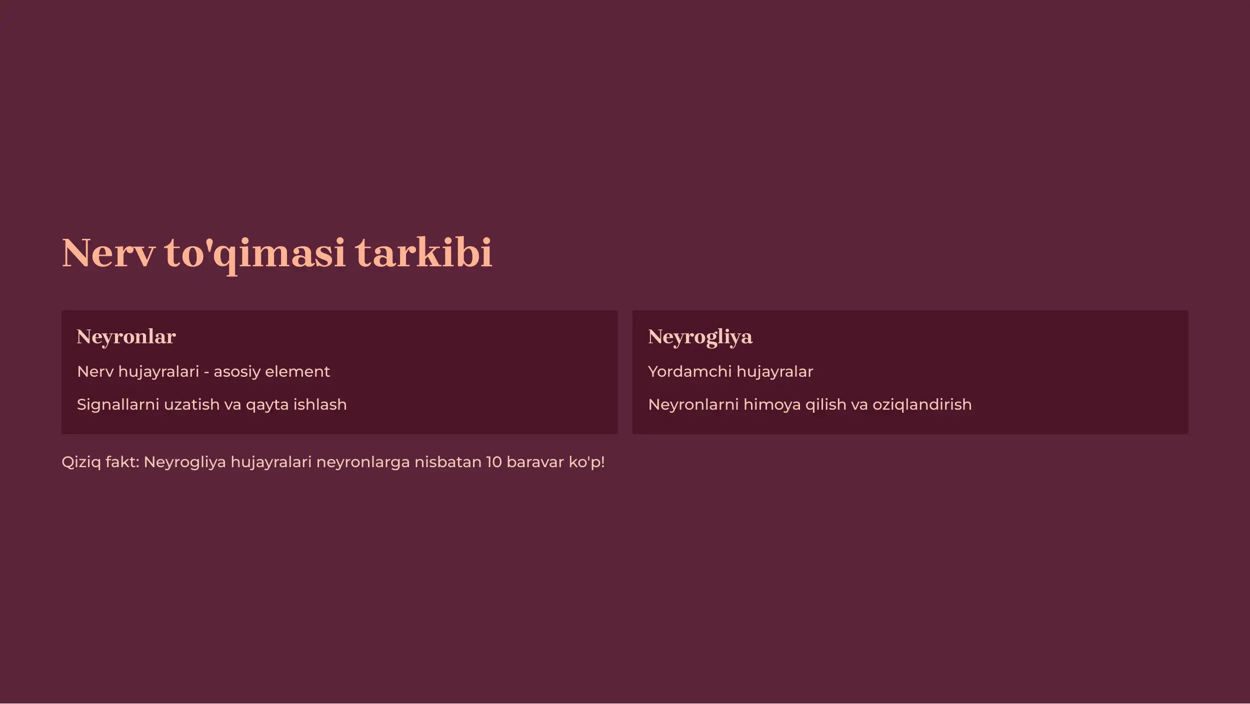 Nerv Sistemasining Tuzilishi 3