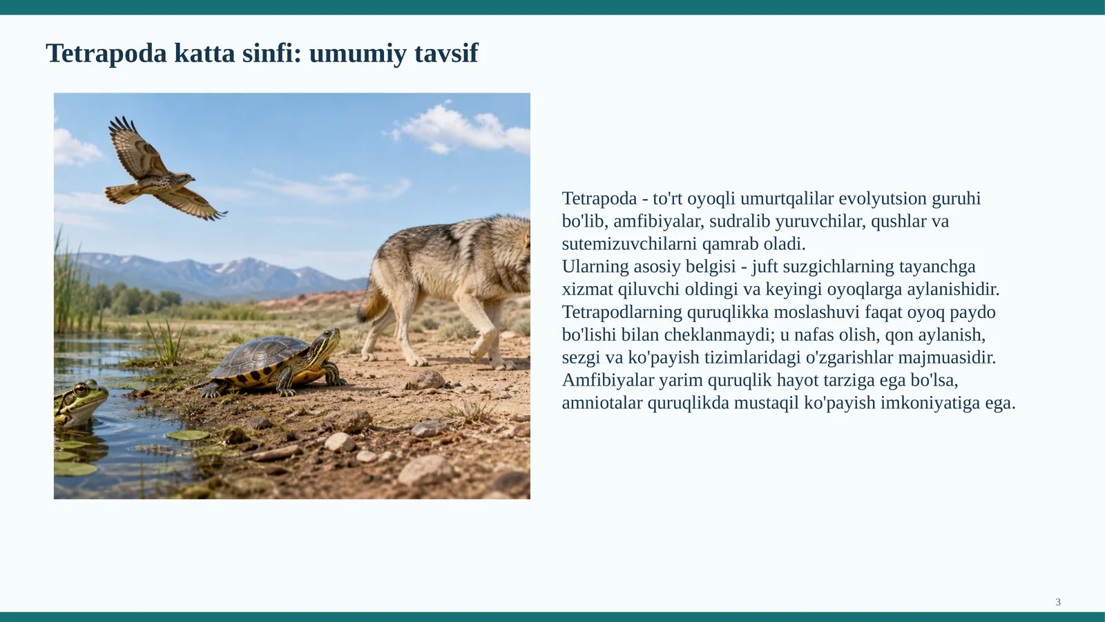 Tetrapoda katta sinfiga mansub hayvonlarning quruqlikda yashashini ta'minlovchi morfofiziologik belgi va xususiyatlar 3