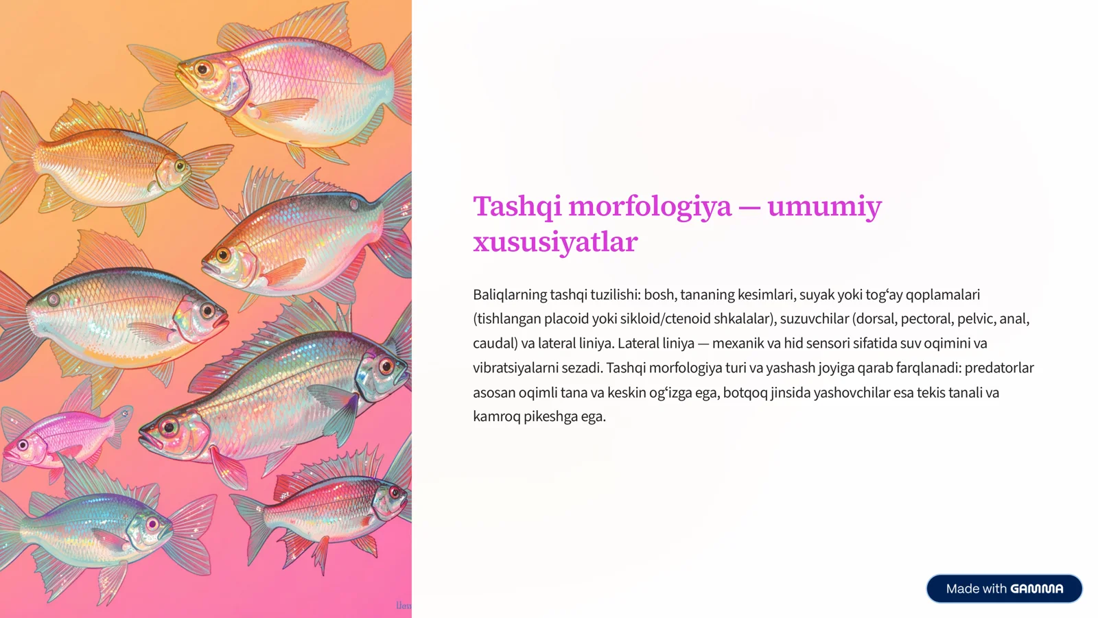 Tog»ayli va suyakli baliqlarning morfologik va fiziologik tuzilishi 3