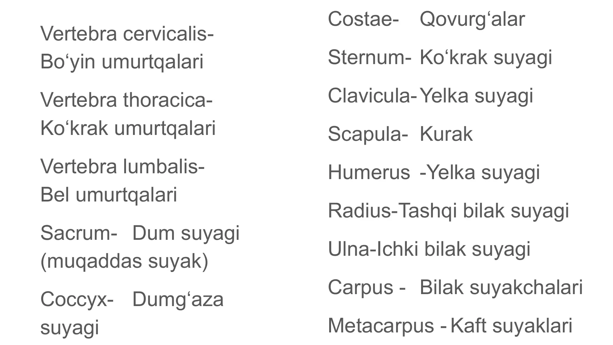Anatomik lug’atlar 3