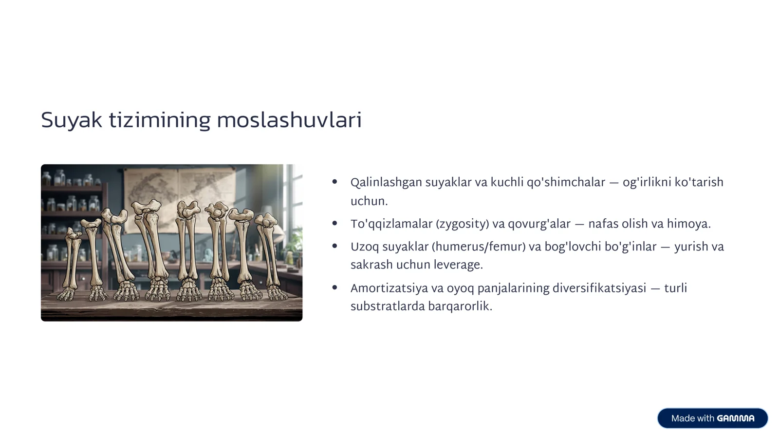 Tetrapoda: Quruqlikda yashash sirlari 3