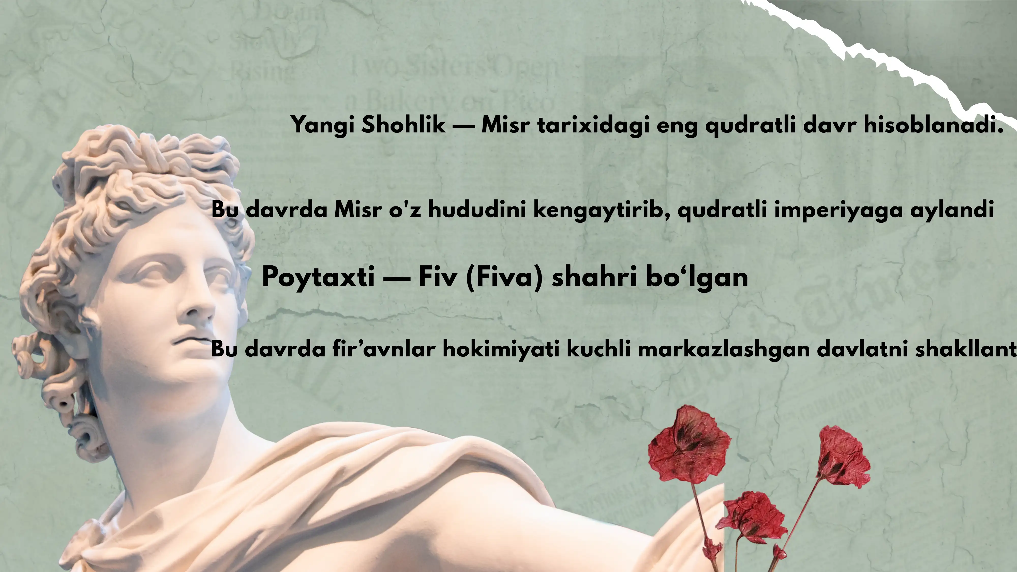 Yangi Shohlik 3