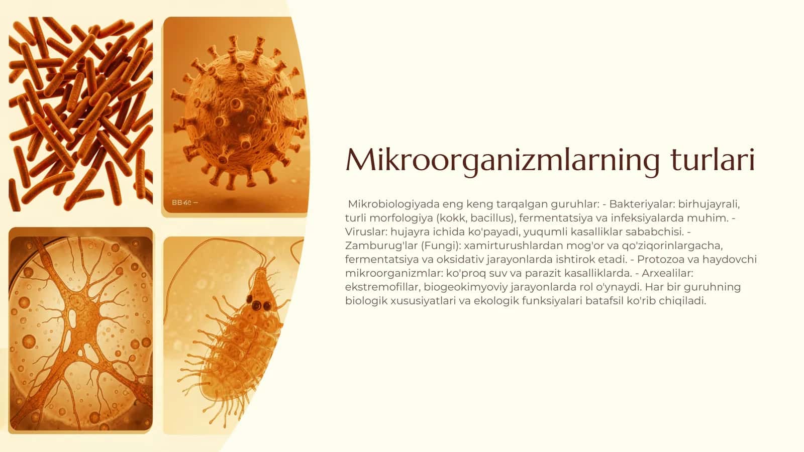 Mikrobiologiya faniga kirish 3