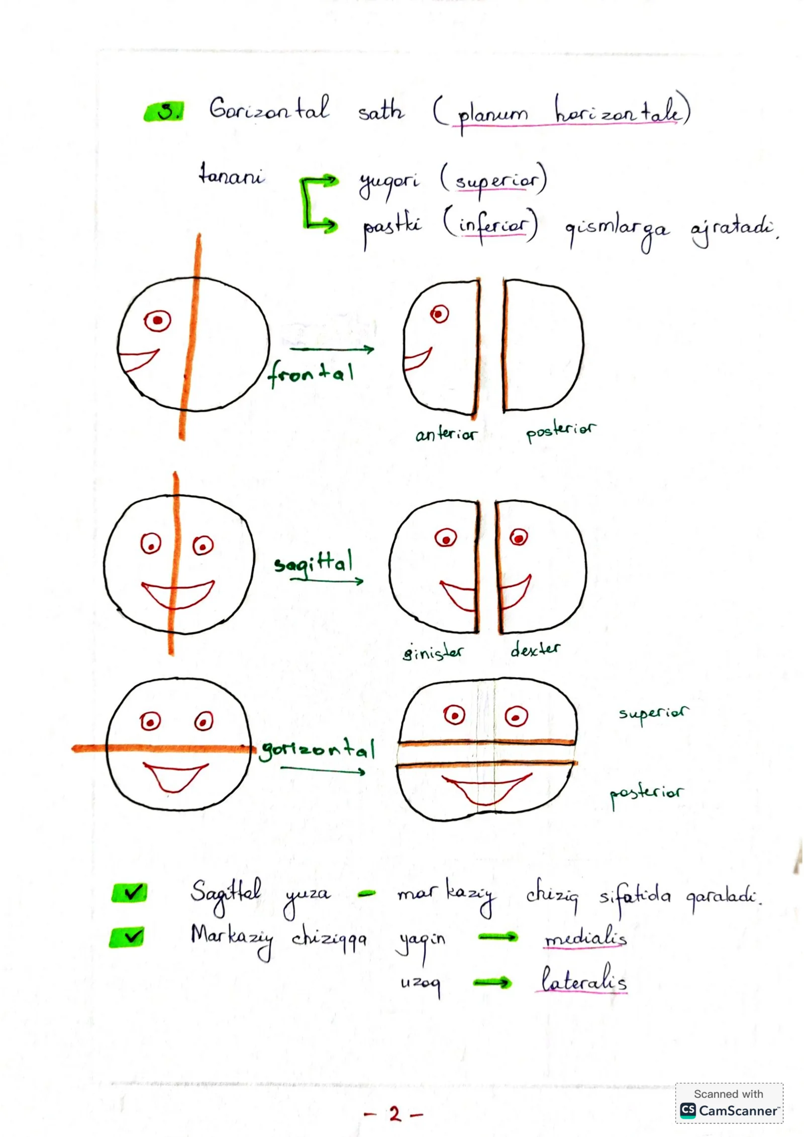Anatomiya mustaqil ôrganishga 3