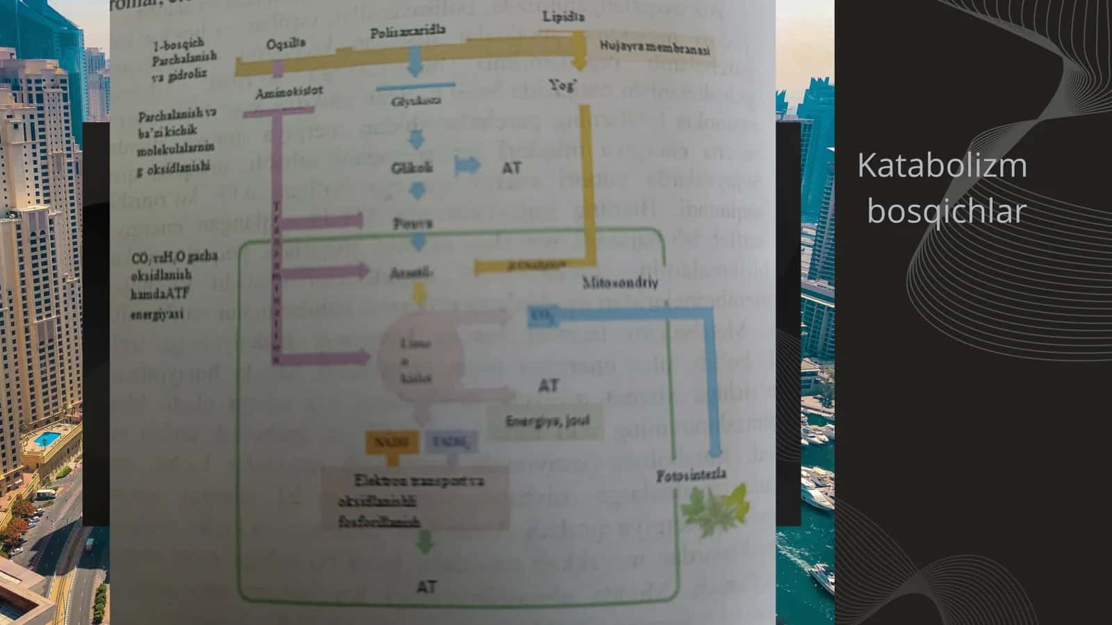 Kimyoviy termodinamika 3
