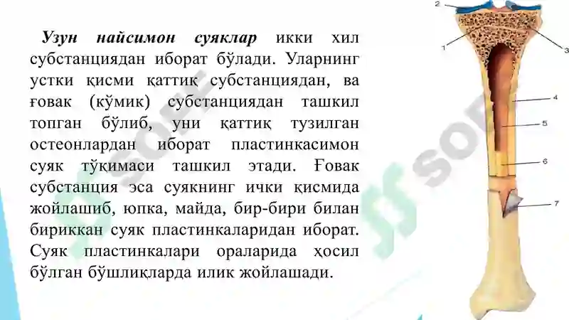 Preview 5