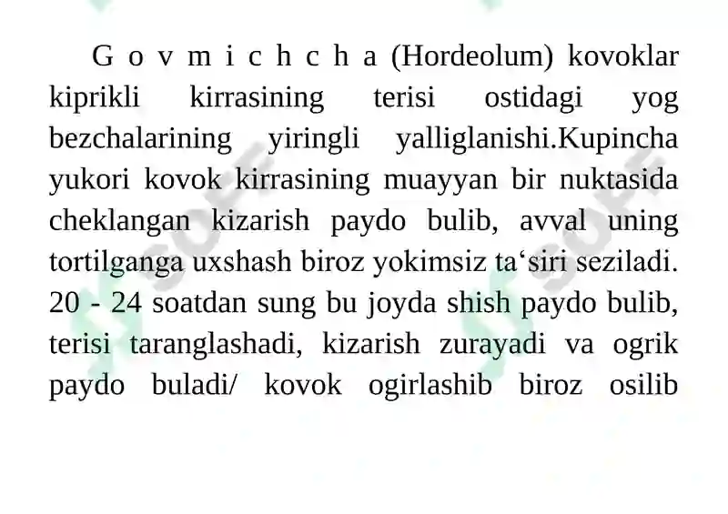 Preview 6