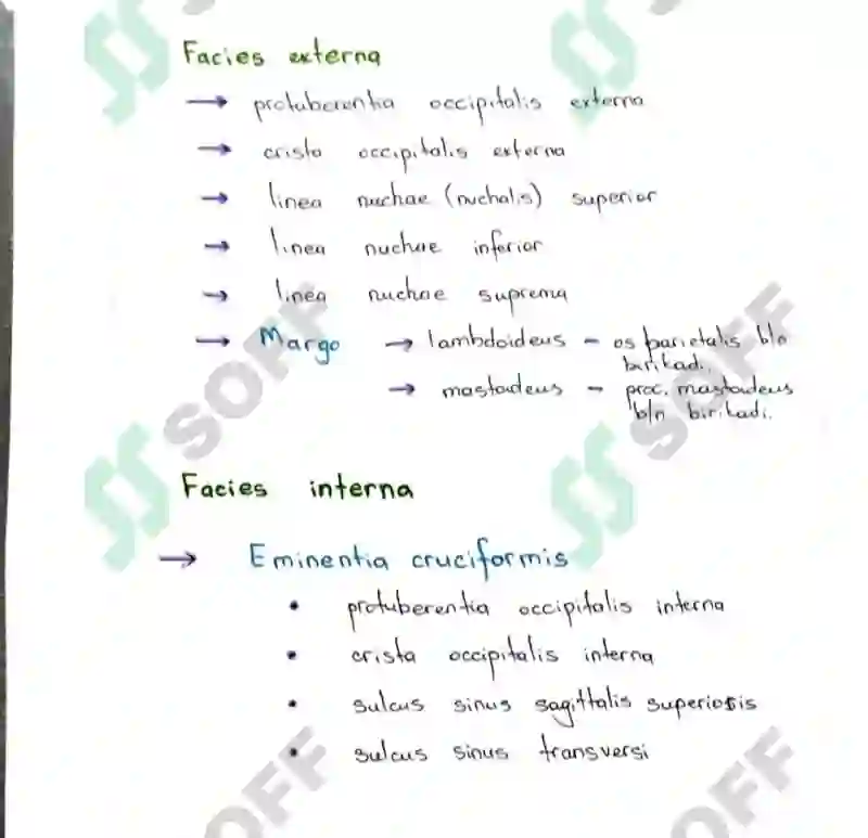 Preview 7
