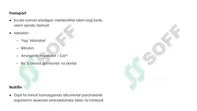 Preview 7