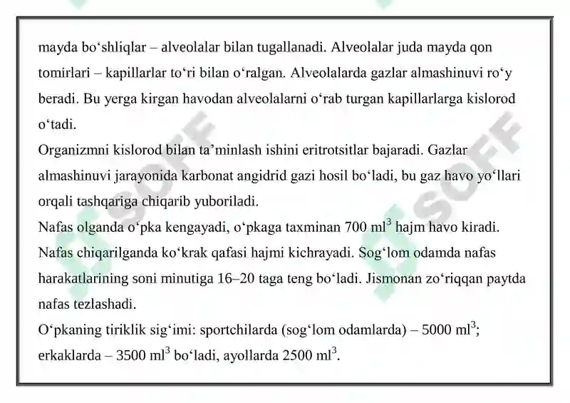 Preview 7