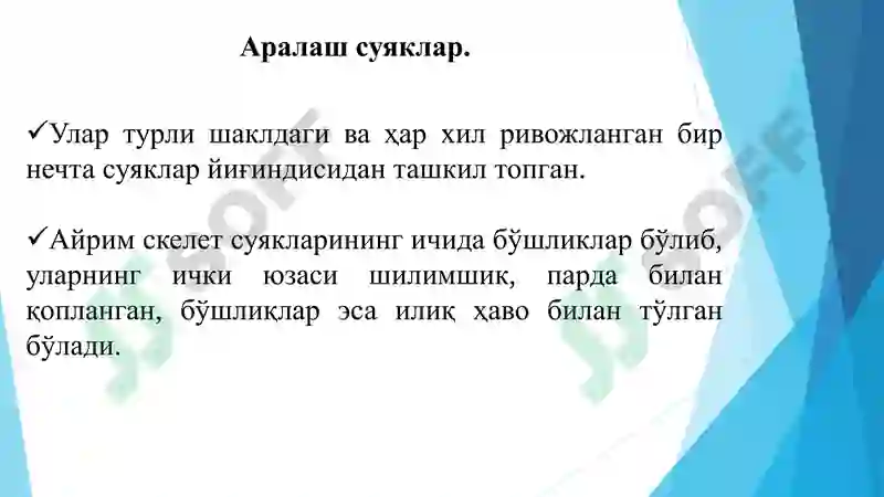 Preview 8