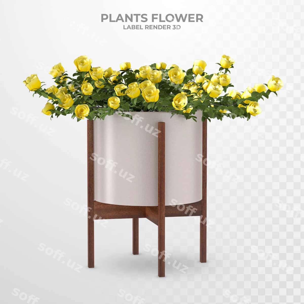 O'simliklar yopiq gullar 3D renderlash | Plants indoor flower 3d rendering 1