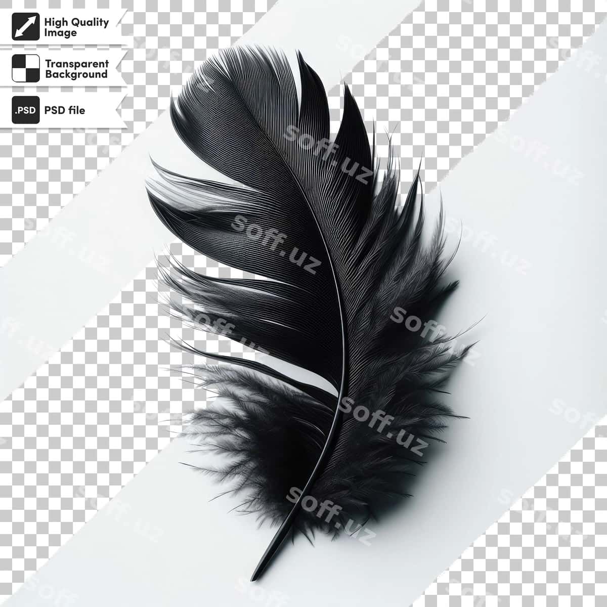 Psd patli shaffof fon | Psd feather transparent background 1
