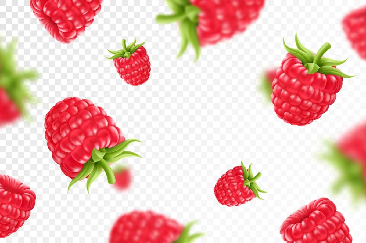 Yashil barglari shaffof malinali uchuvchi fon | Raspberry background flying raspberry with green leaf transparent 1