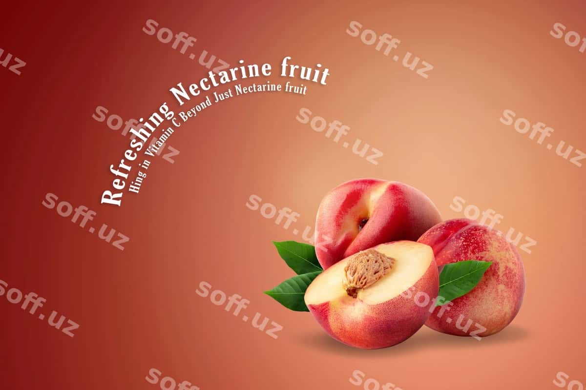 Olg'a yangi nektarin meva ajraltirilgan | Ripe fresh nectarine fruit isolated 1