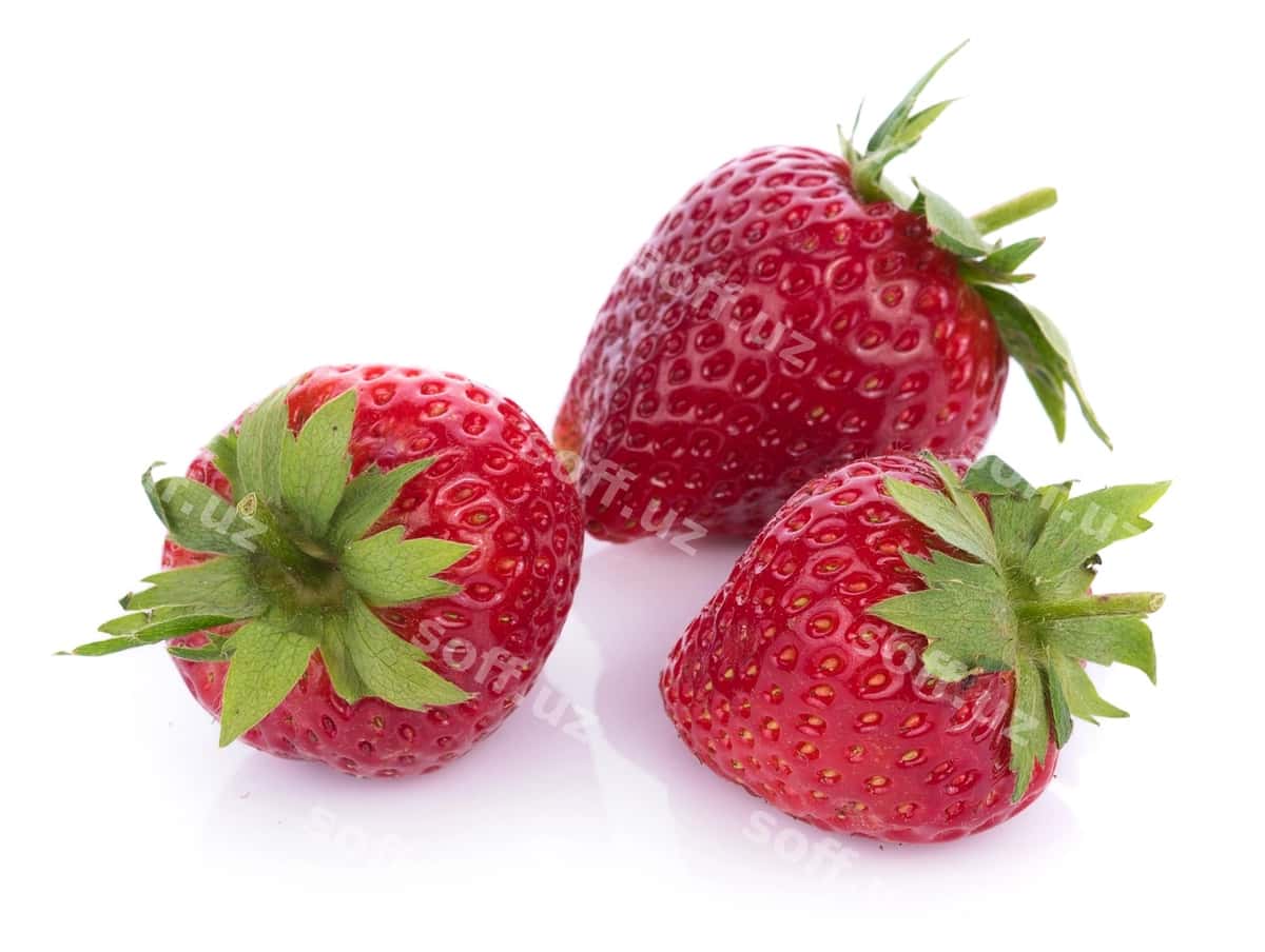 O'rgimchilgan qulupnachalar ajraltirilgan oq | Ripe strawberries isolated white 1
