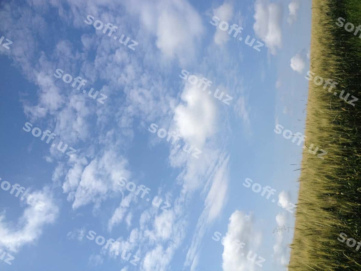 Osmonga qarshi manzarali maydon | Scenic view field against sky 1