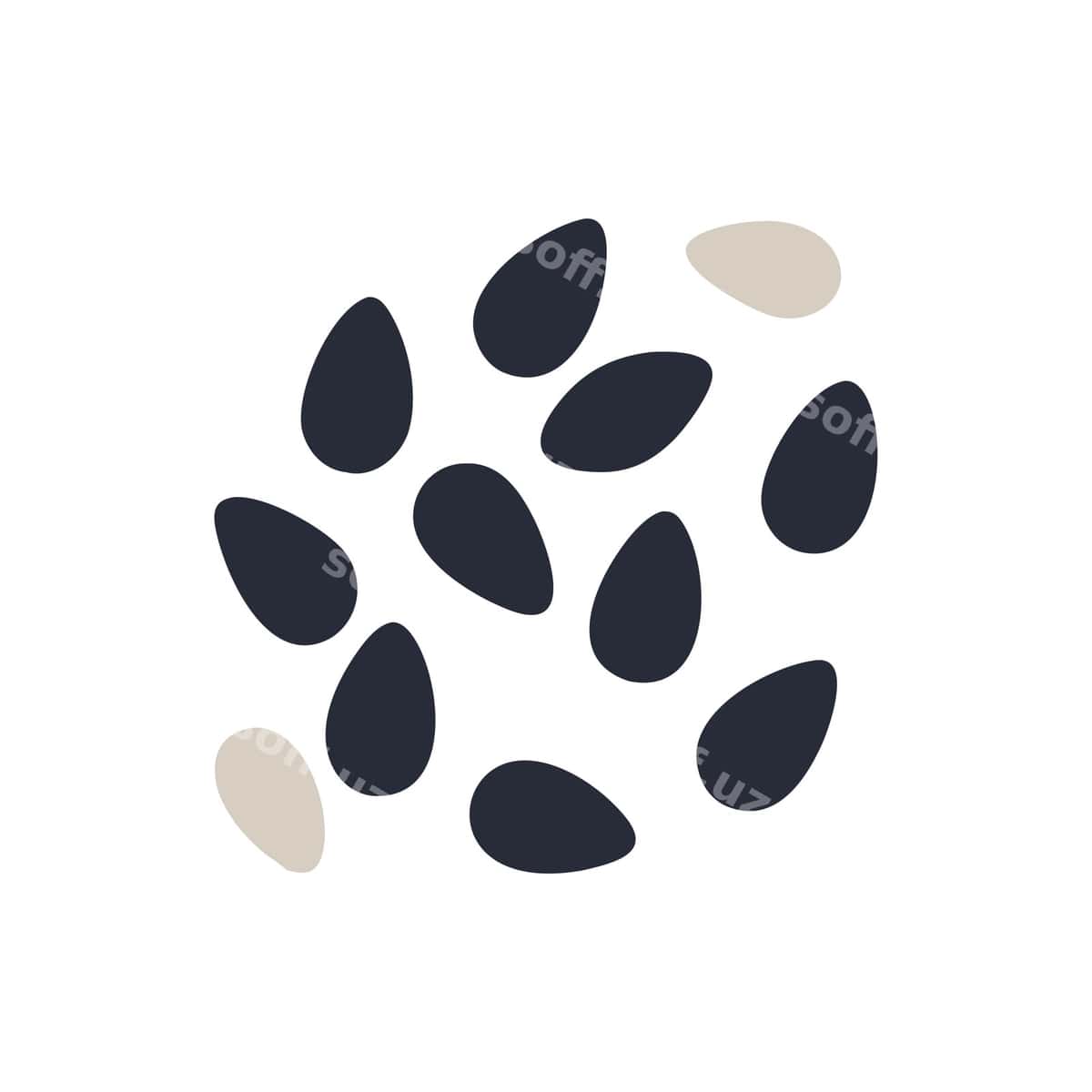 Sesam urug‘lari vektor pazlik yaxshiliklari | Sesame seeds vector cooking enhancements 1