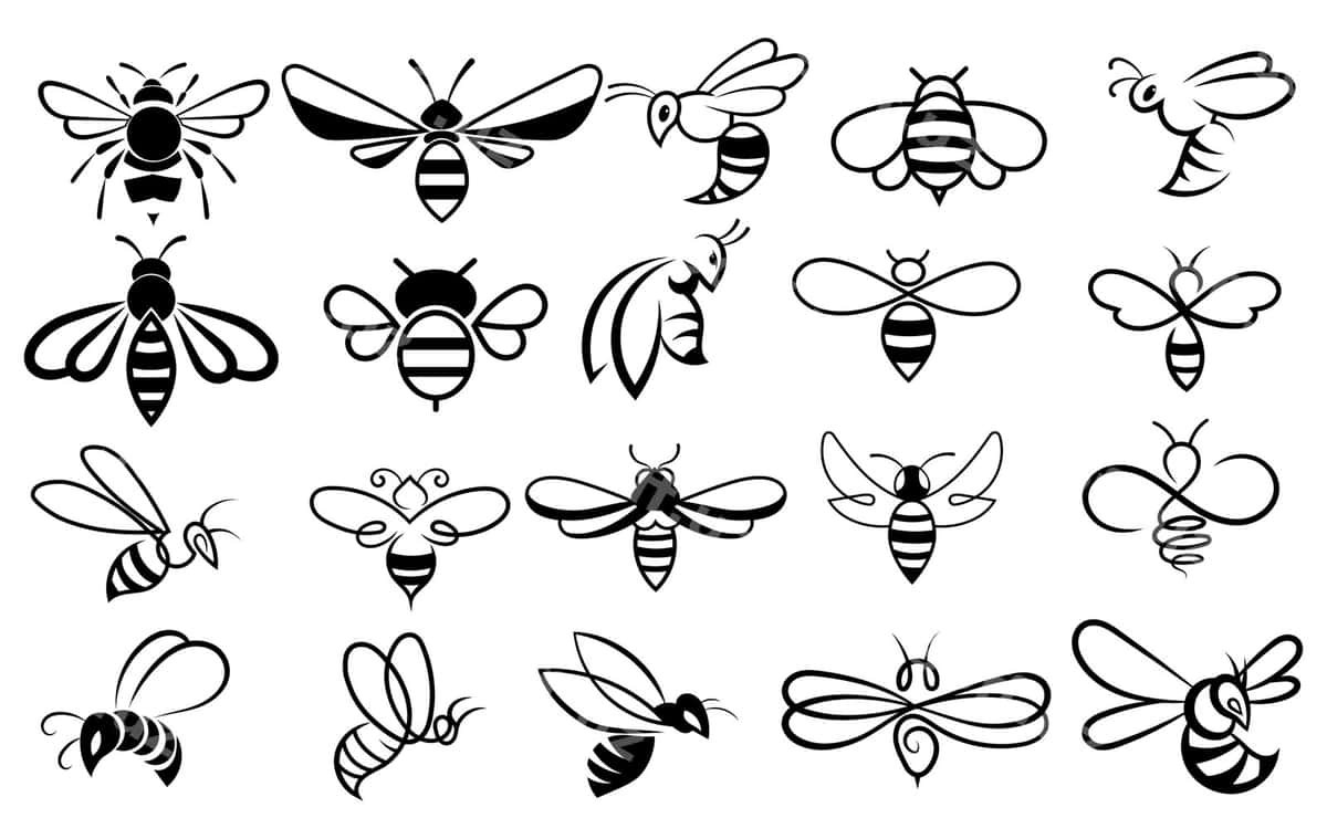 Set asal to'plami stilizatsiya qilingan asal chayonlari | Set bees collection stylized honey bees 1