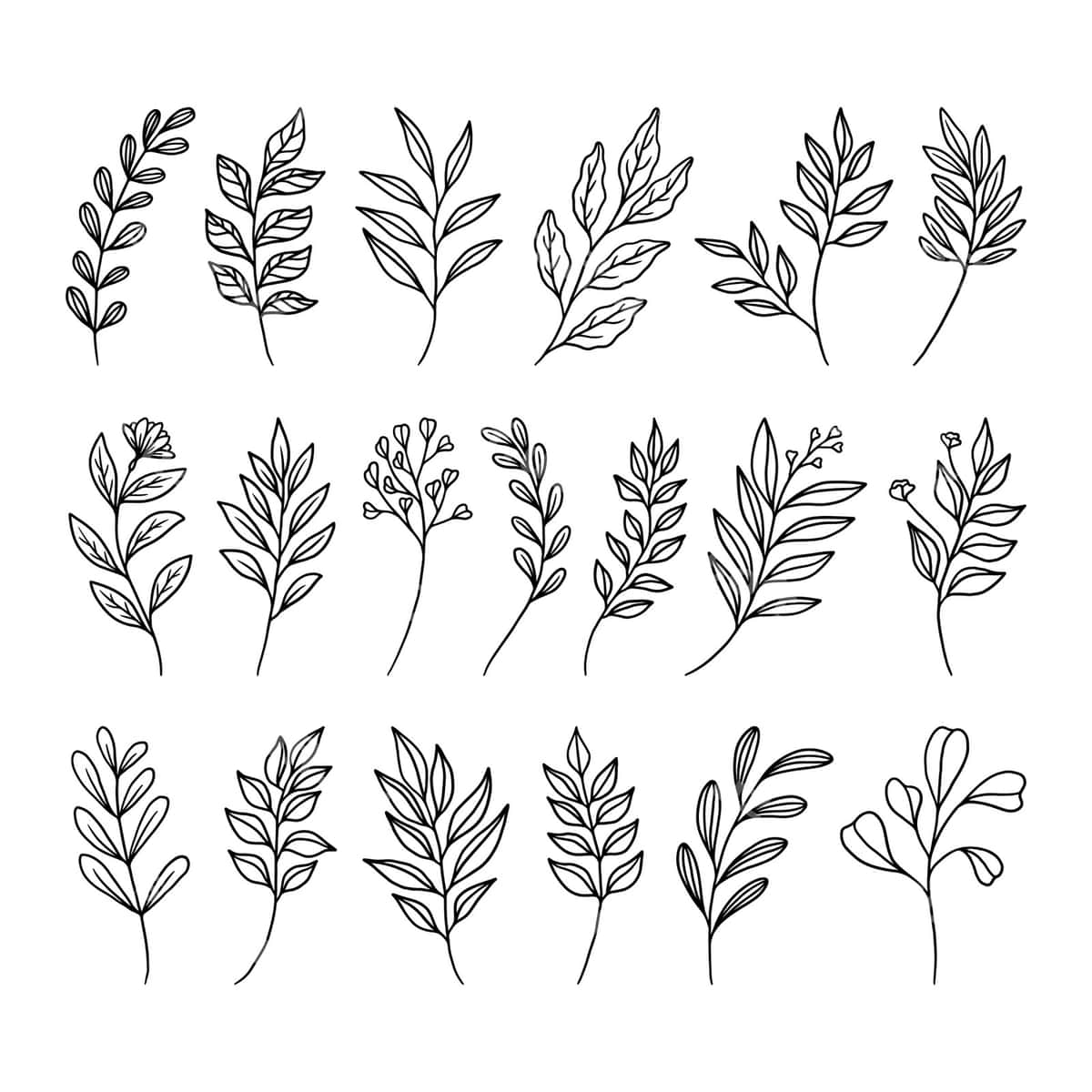 To'plam sarmoq varaqlar vektori | Set branch leaves vector 1