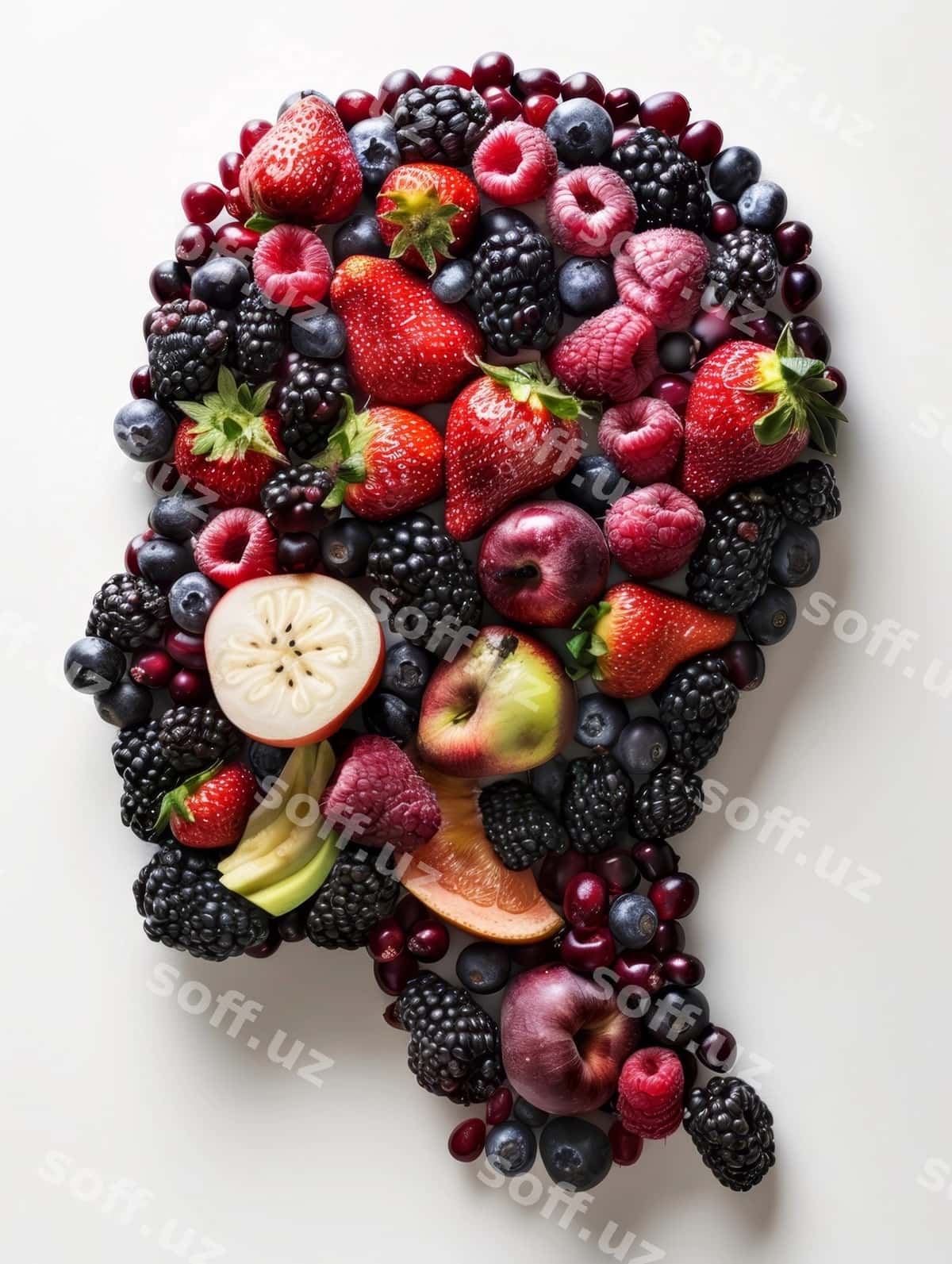 Siluet bosh to'ldirilgan boring | Silhouette head filled with berries 1