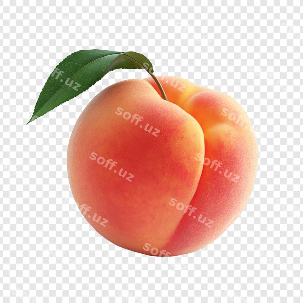 Bitta yashil varaqli shaftoli | Single peach with green leaf 1