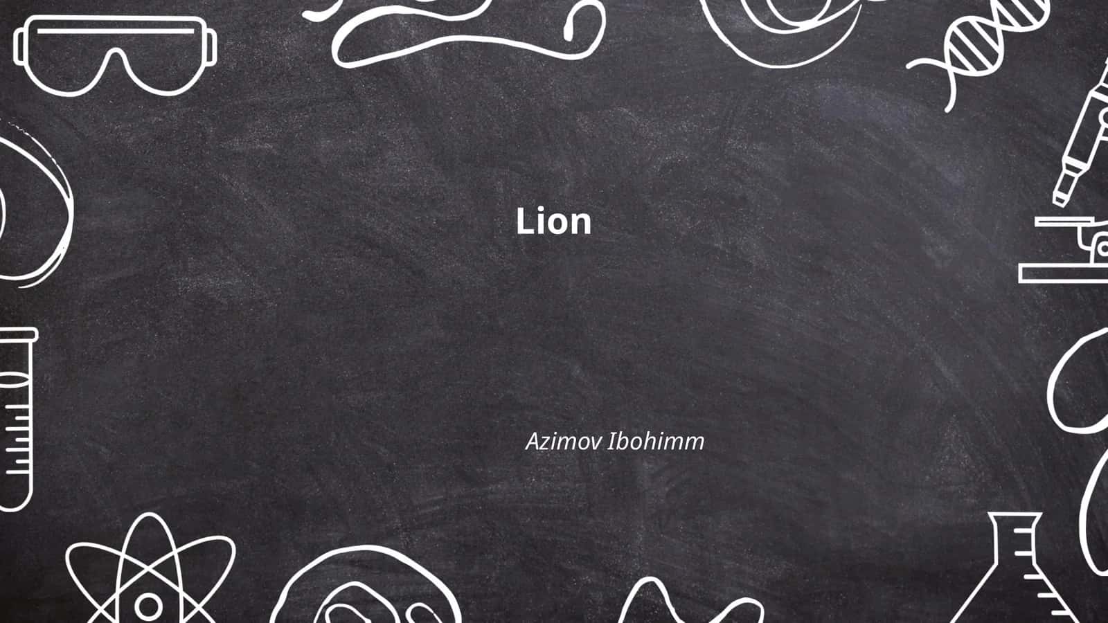 Lion 1