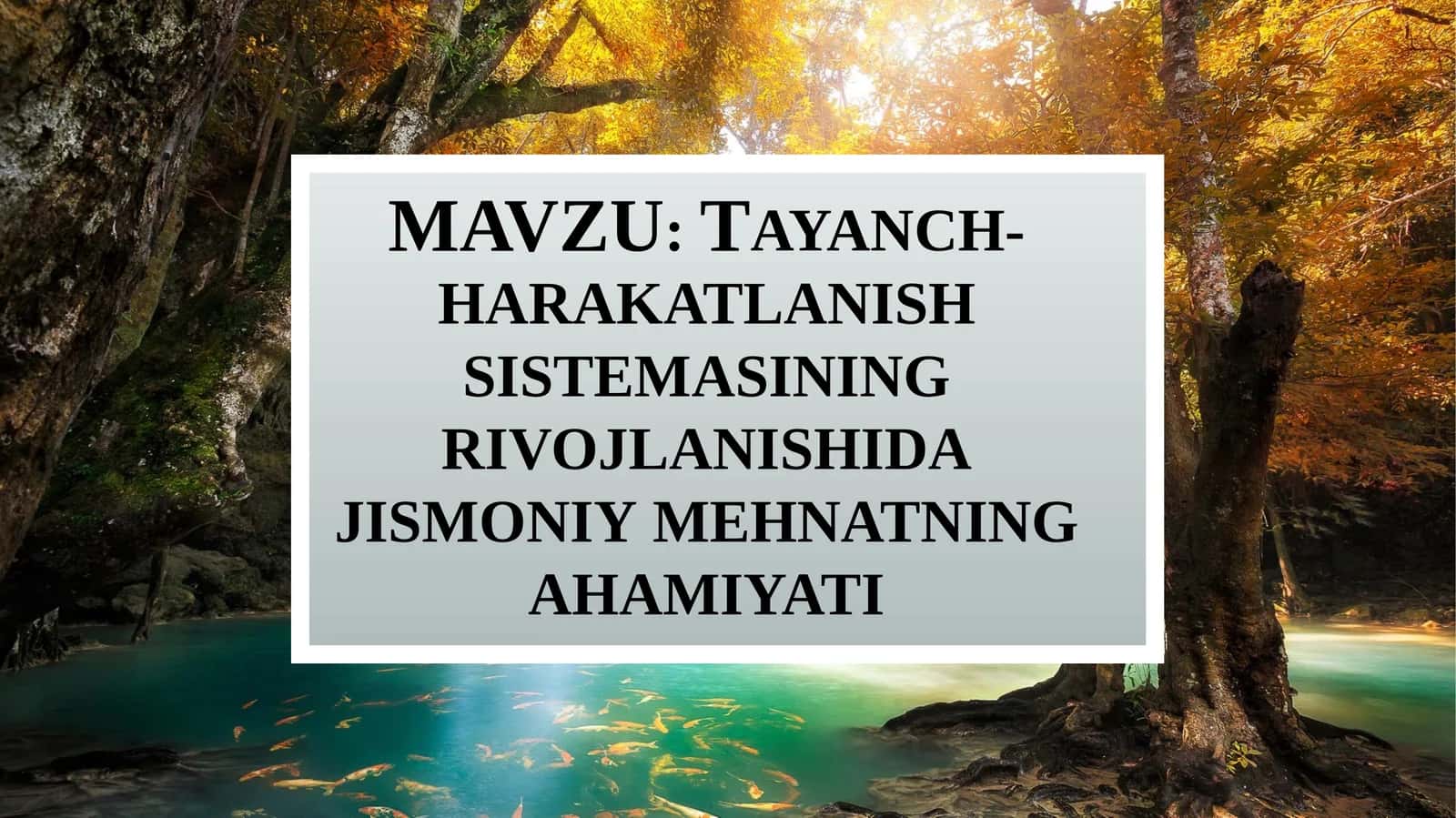 Tayanch-harakatlanish sistemasining rivojlanishida jismoniy mehnatning ahamiyati 1