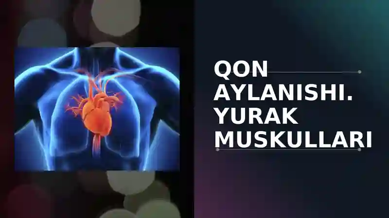 QON AYLANISHI. YURAK MUSKULLARI