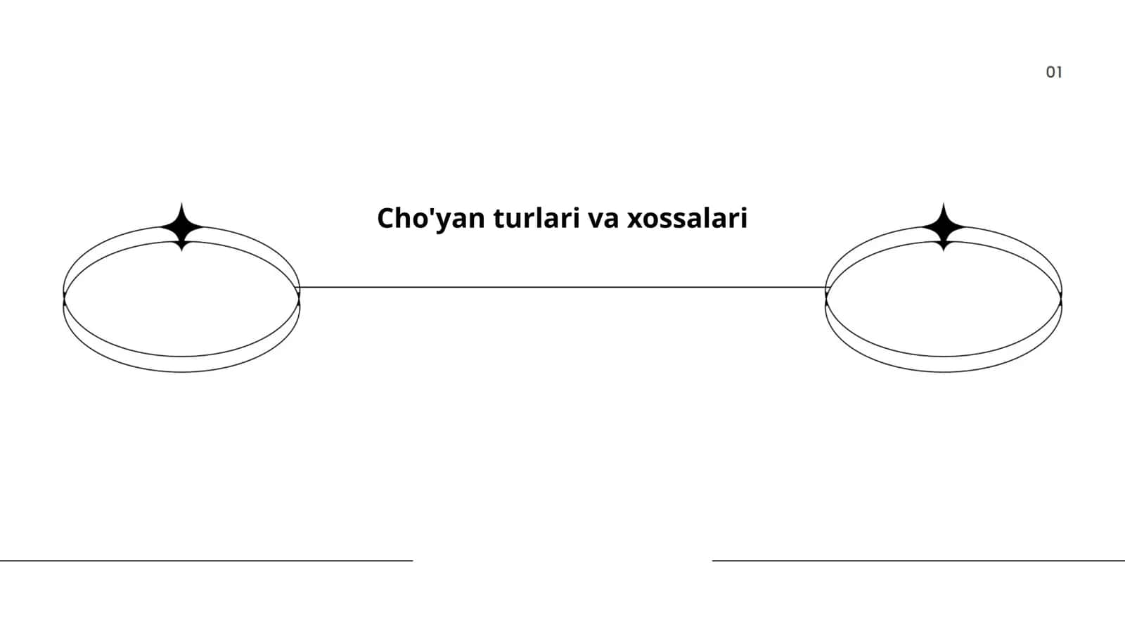 Cho'yan turlari va xossalari 1