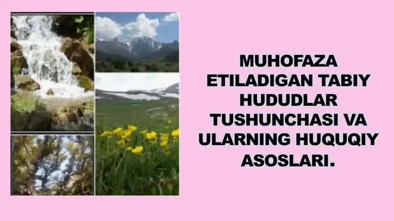 Muhofaza etiladigan tabiy hududlar tushunchasi va ularning huquqiy asoslari. 1