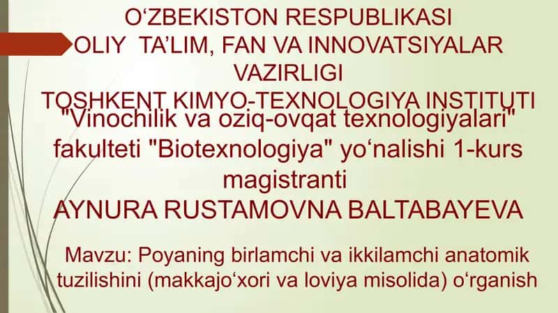 Poyaning birlamchi va ikkilamchi anatomik tuzilishini (makkajo‘xori va loviya misolida) o‘rganish 1