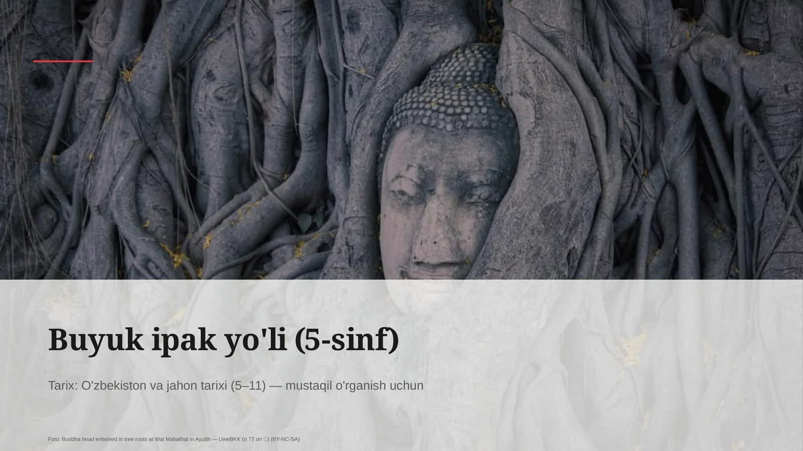 Buyuk ipak yo'li (5-sinf) 4