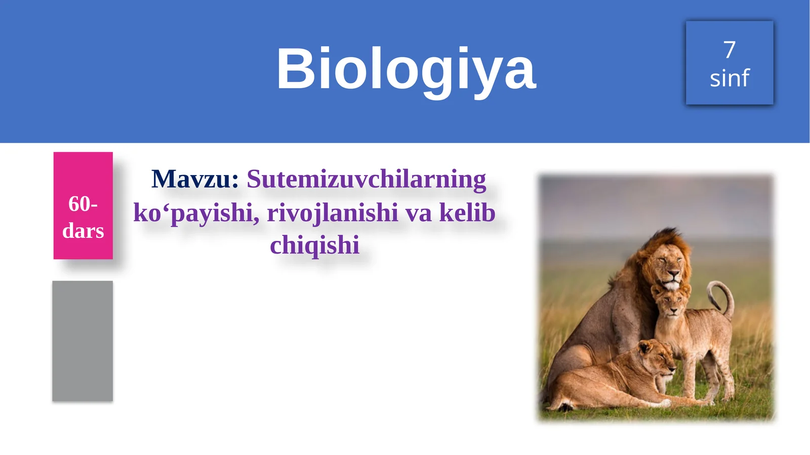 Sutemizuvchilarning ko‘payishi, rivojlanishi va kelib chiqishi 1
