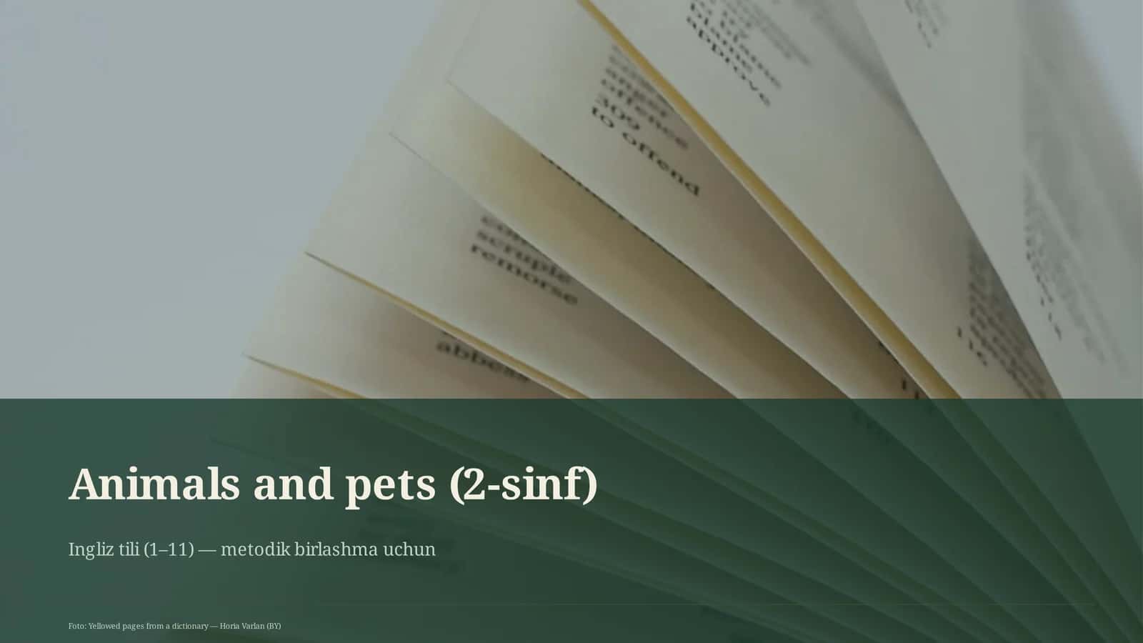 Animals and pets (2-sinf) 1