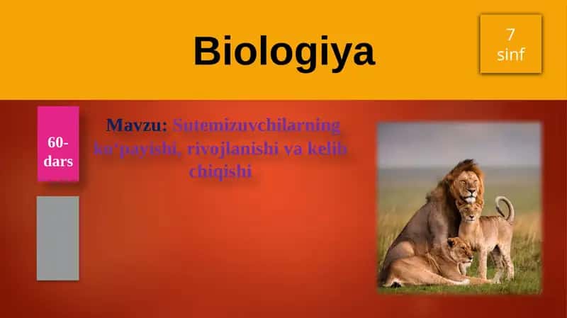 Sutemizuvchilarning ko'payishi, rivojlanishi va kelib chiqishi 1