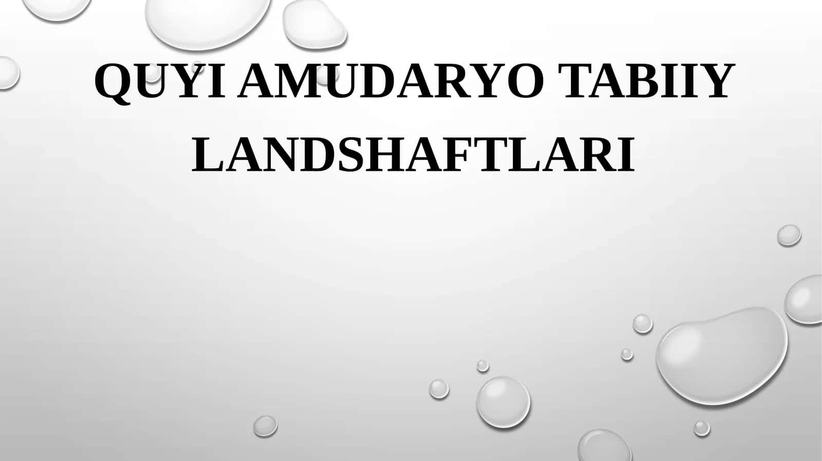 QuyiAmudaryoTabiiylandshaftlari 1