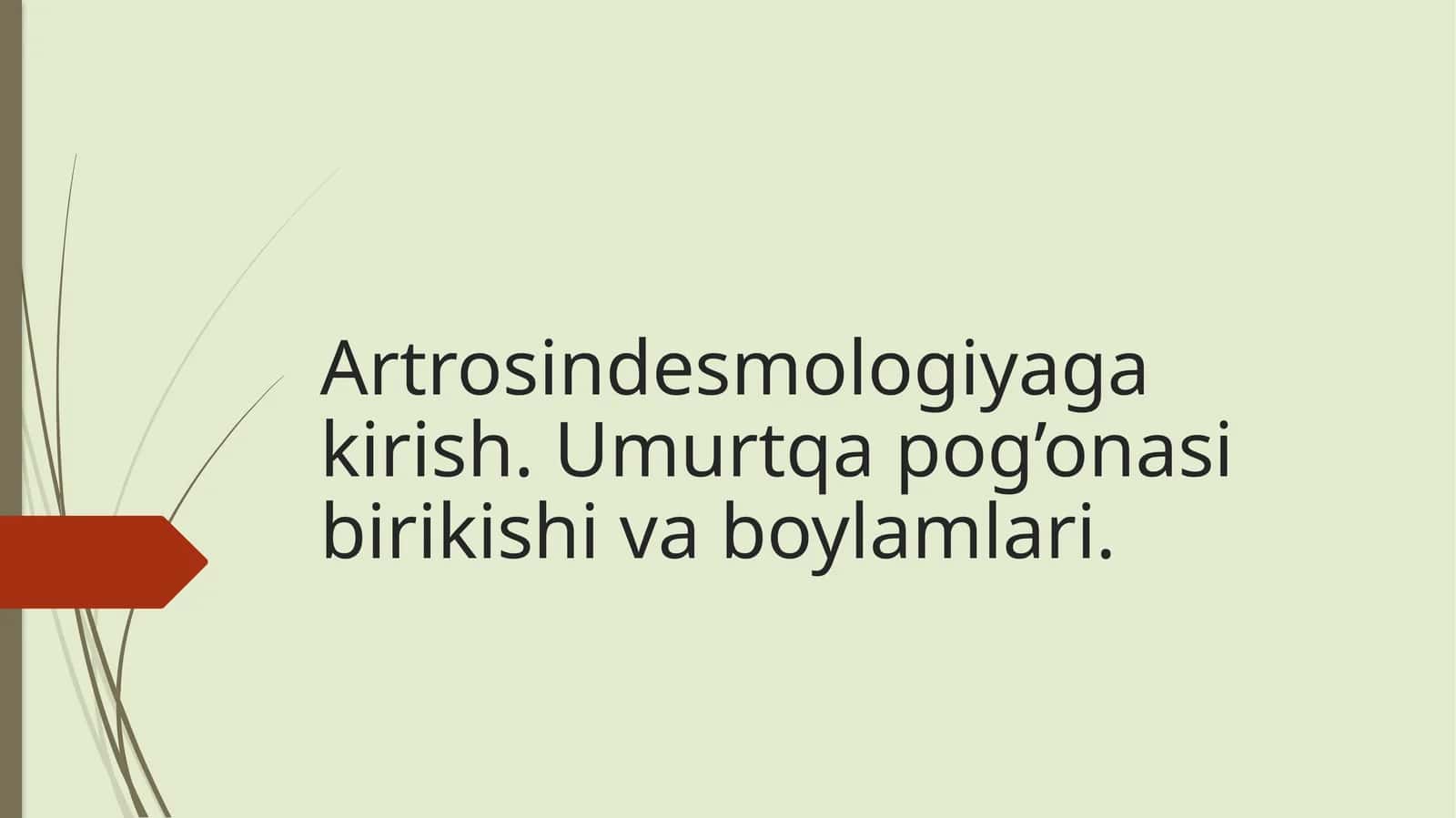 Artrosindesmologiyaga kirish. Umurtqa pog’onasi birikishi va boylamlari 1