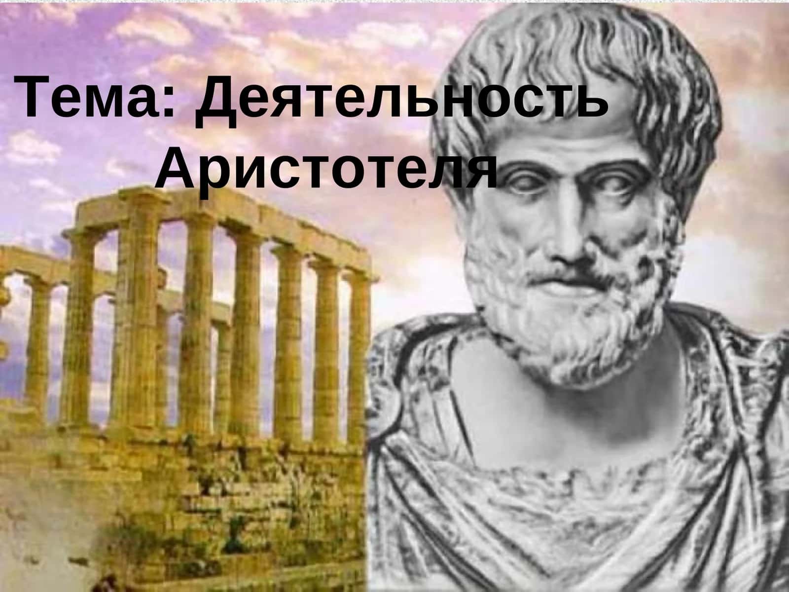 Деятельность Аристотеля 1