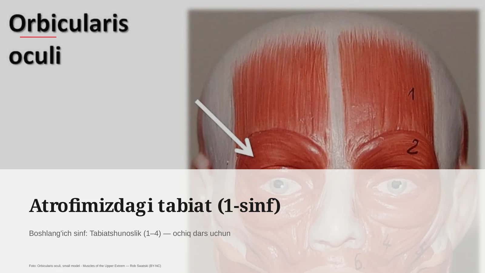 Atrofimizdagi tabiat (1-sinf) 1