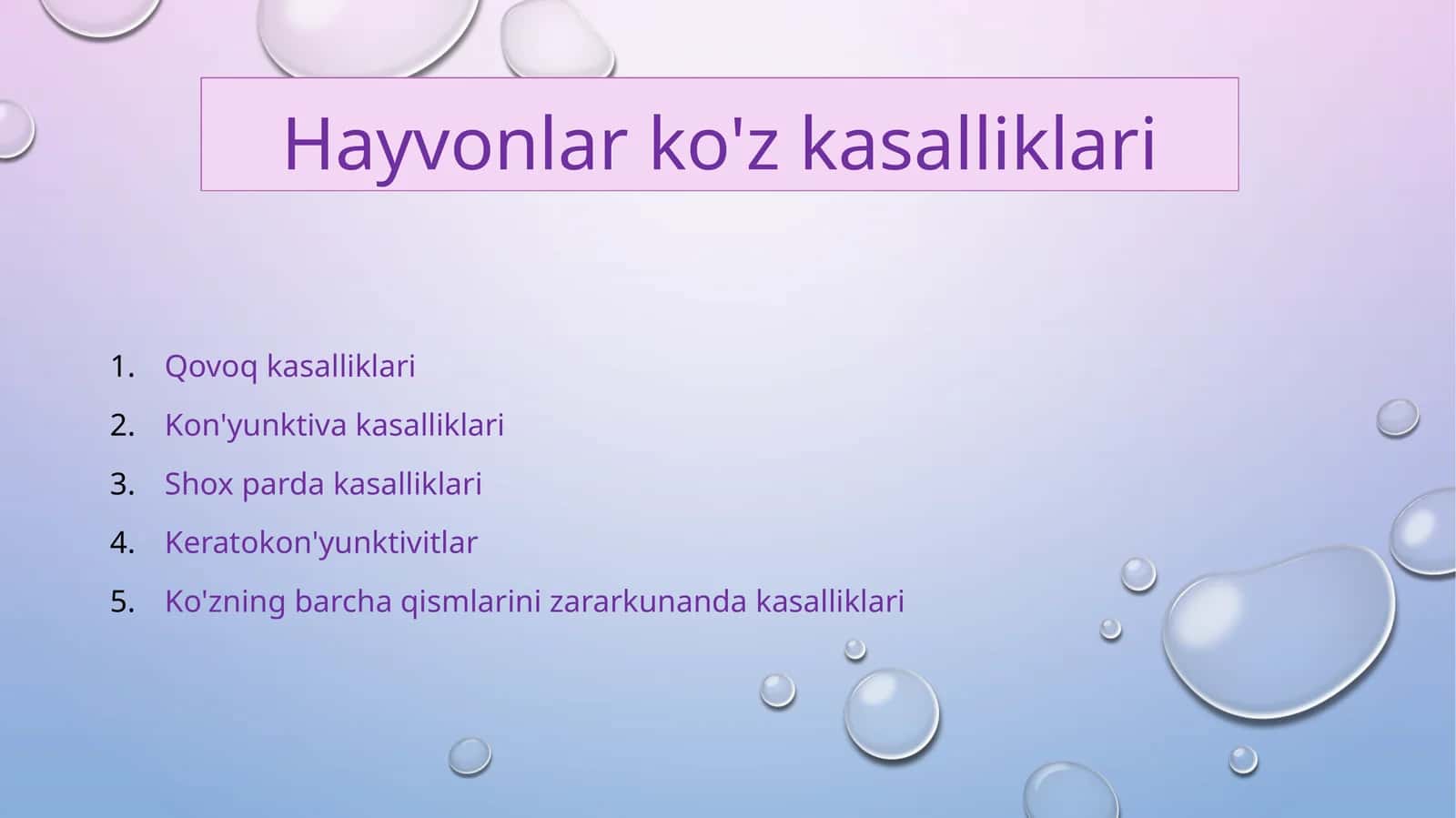 Hayvonlarda ko'z kasalliklari 1