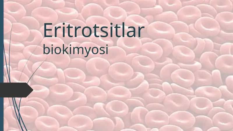 Eritrotsitlar biokimyosi 1