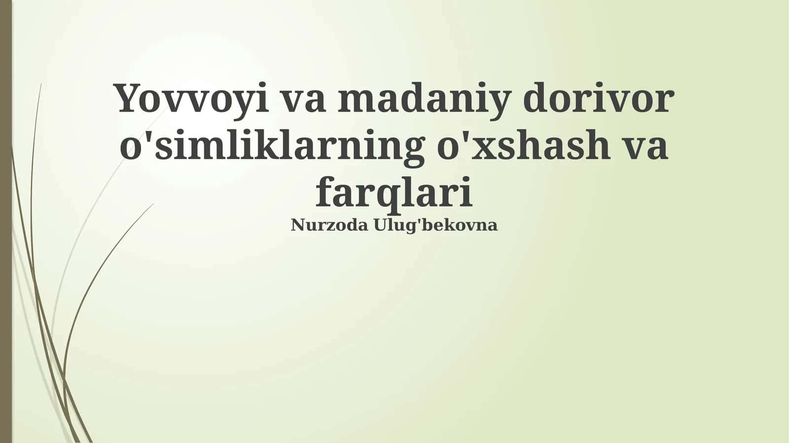 Yovvoyi va madaniy dorivor o'simliklarning o'xshash va farqlari 1