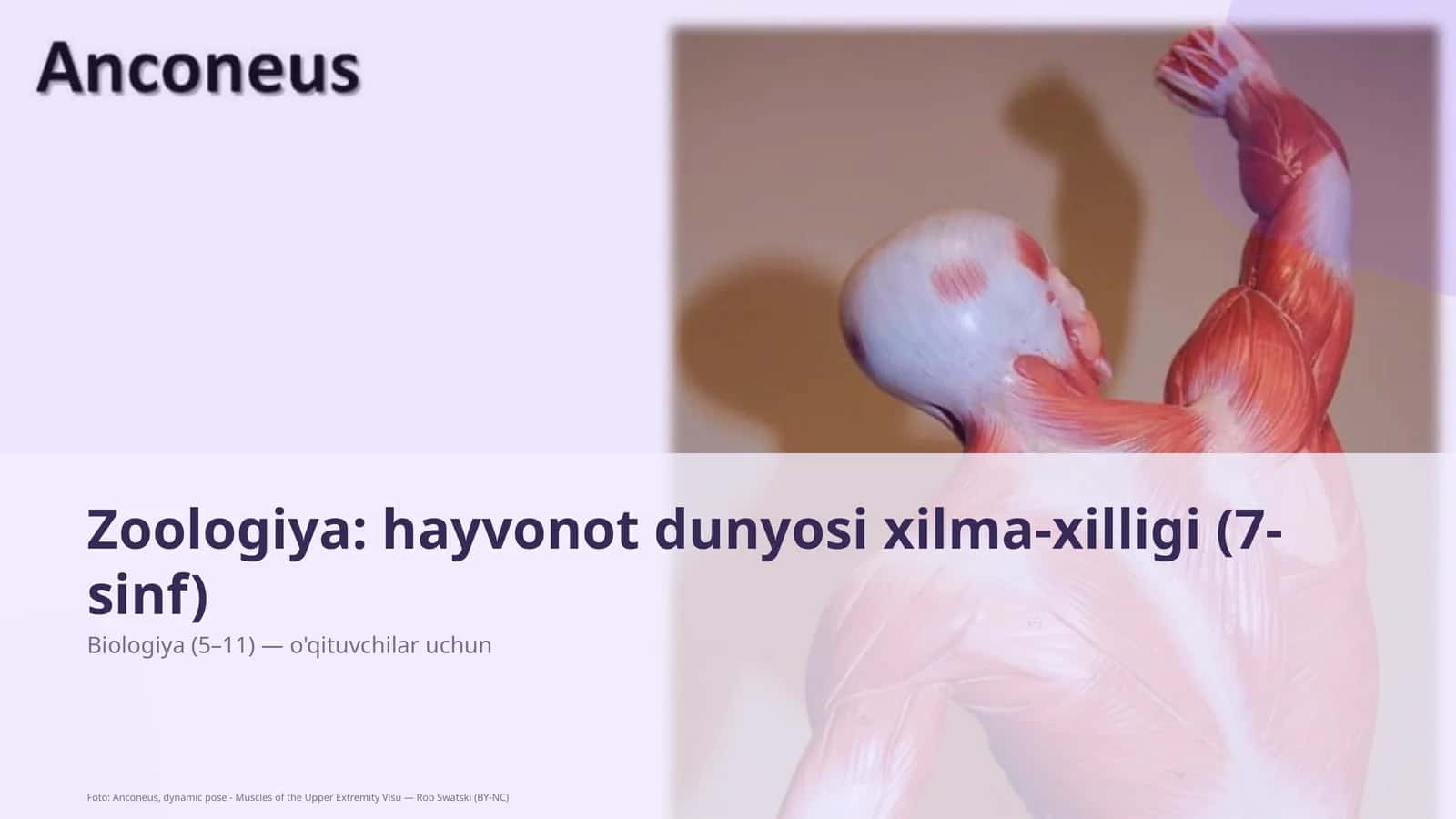 Zoologiya: hayvonot dunyosi xilma-xilligi (7-sinf) 1