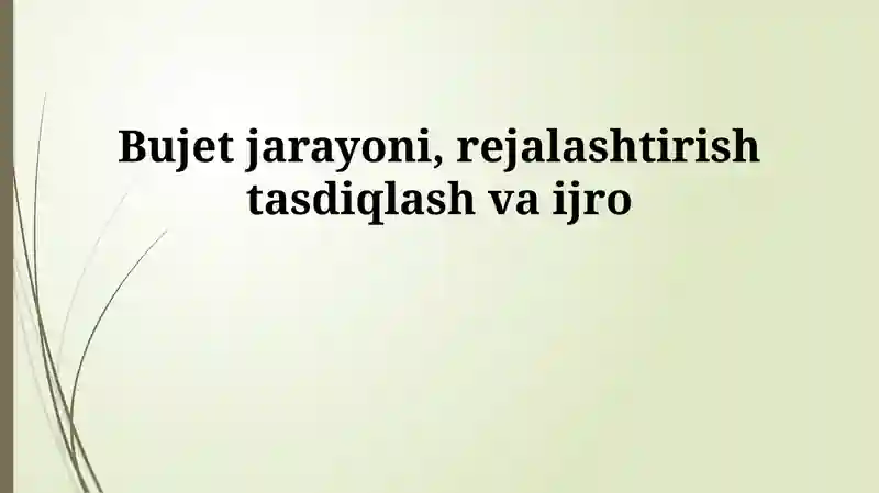 Byudjet jarayoni, rejalashtirish tasdiqlash va ijro