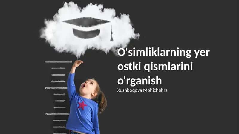 O'simliklarning Yer Ostki Qismlarini O'rganish 1