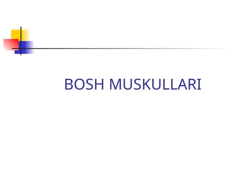 BOSH MUSKULLARI 1